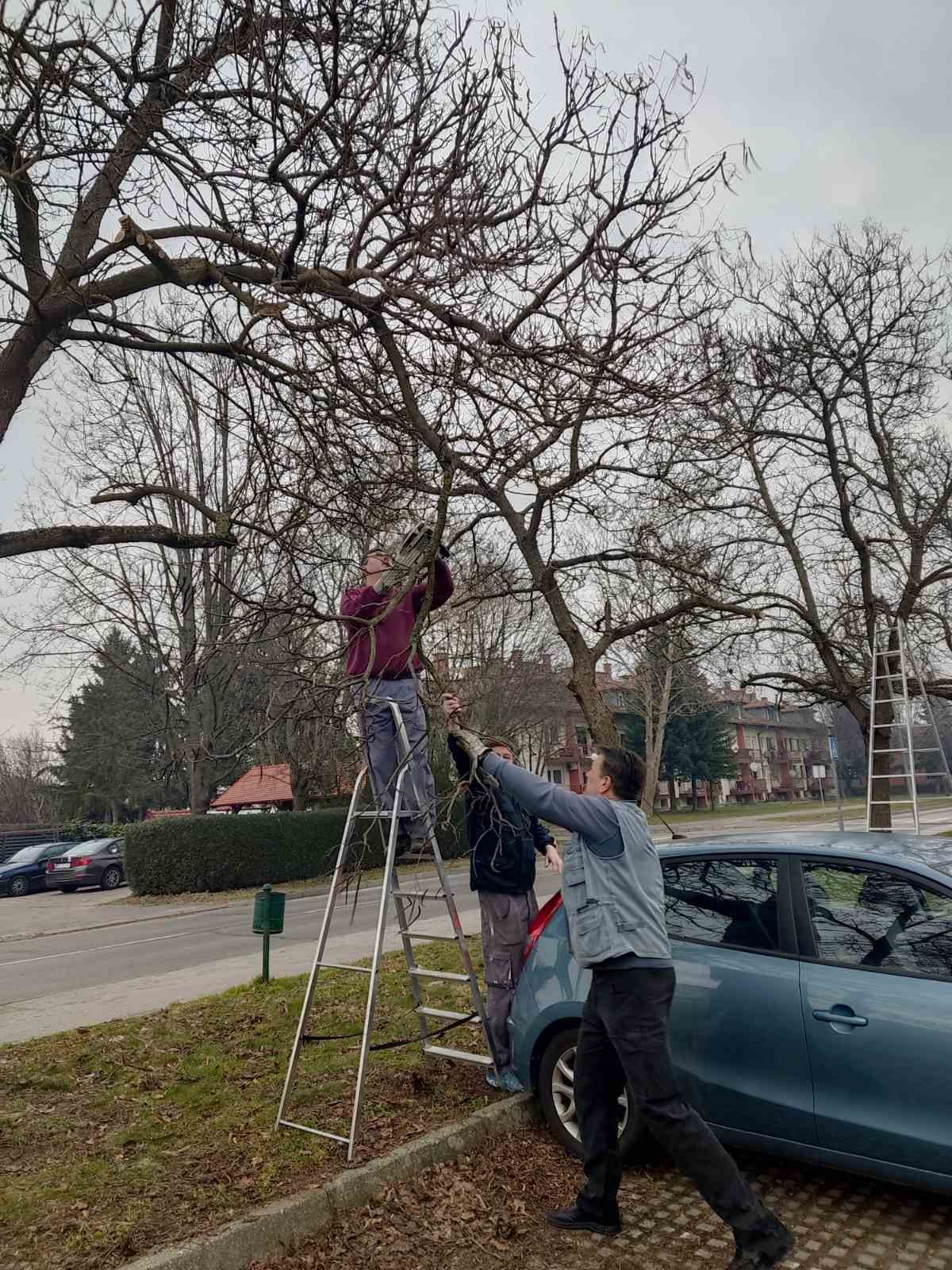 00000239 img 770a669259b8509c6821d7c042d0475a v