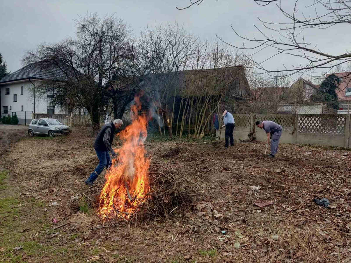 00000240 img 2951dc7bb7977cf8b234f50ff671699c v