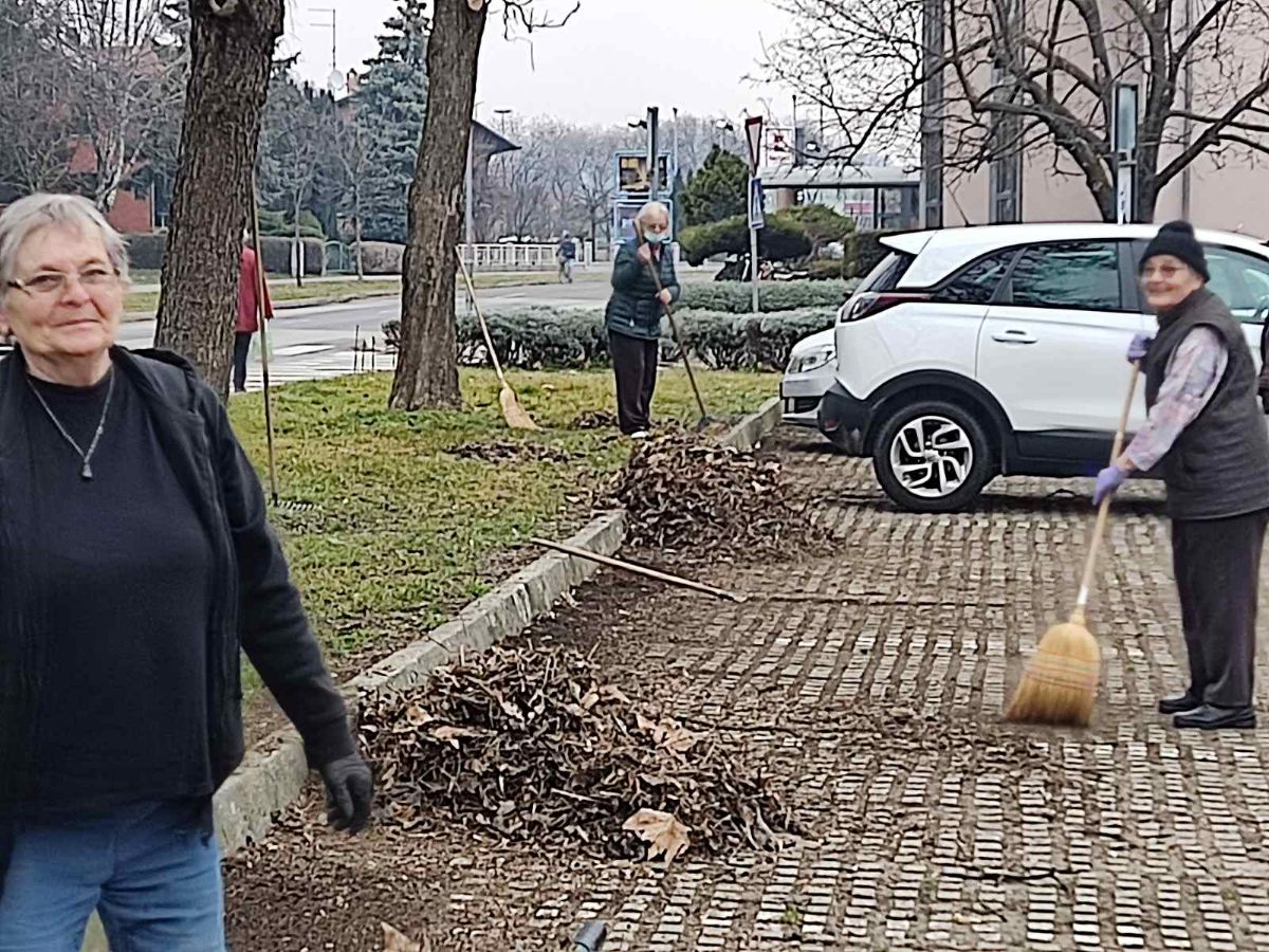 00000241 img a39c935d0880502820f61b5a95e17b5d v