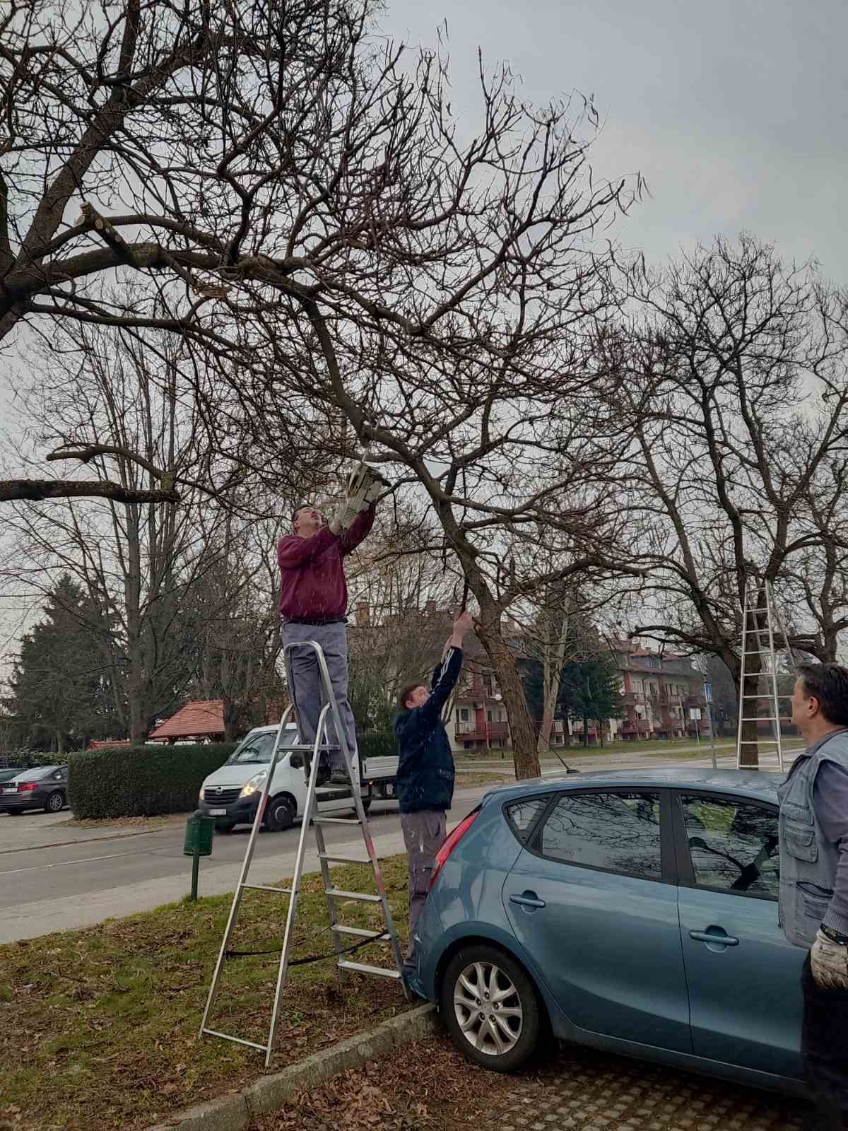 00000242 img f643f1229da50fab92c69abcc5cbe0cb v