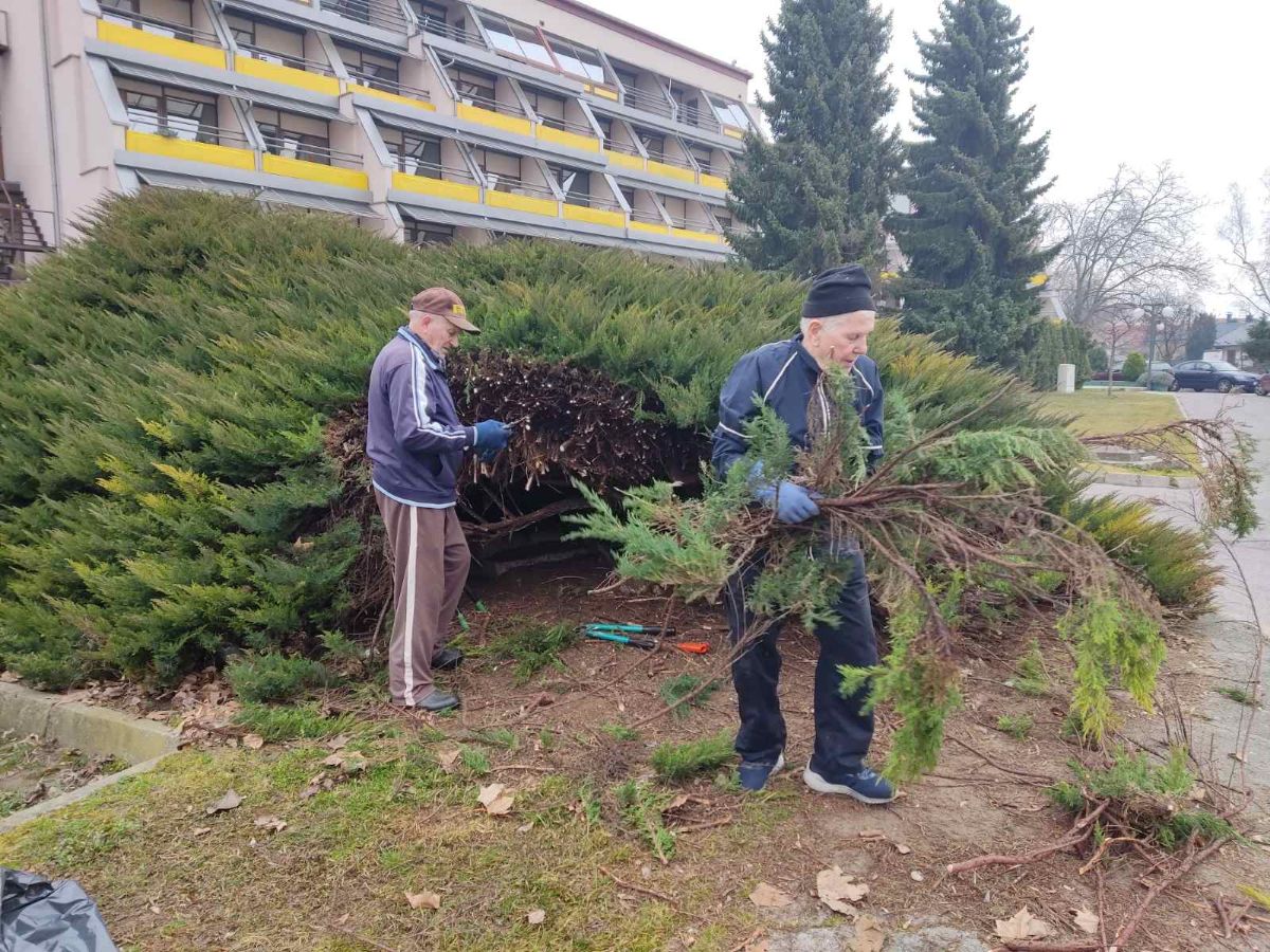 00000243 img 596e3267e0d80d182f8b7ab16bce6119 v