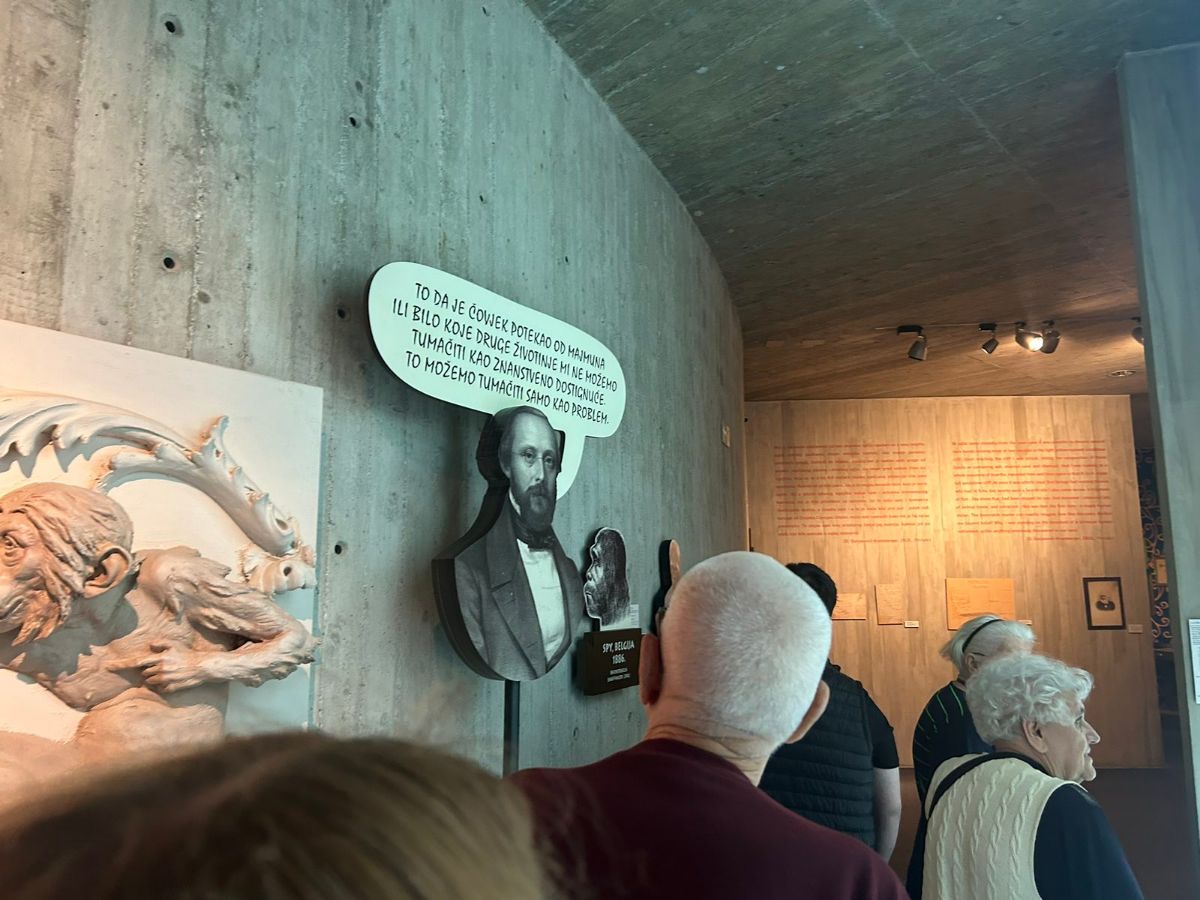 00000525 img 3881df6cbcb3618b6c7b903a75056578 v