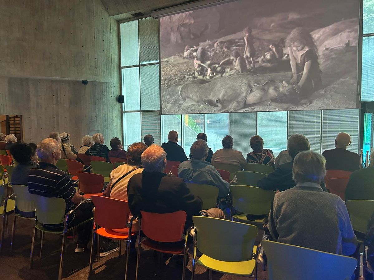 00000527 img 8d3a5ce05a3a7e33da73f431151296eb v