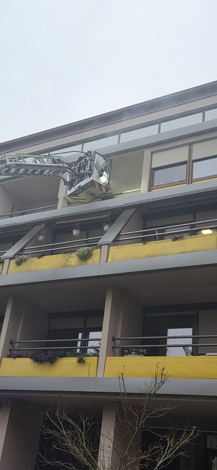 00000886 img 3fbfee358e2a6cdafae01c4d0f728fbf v