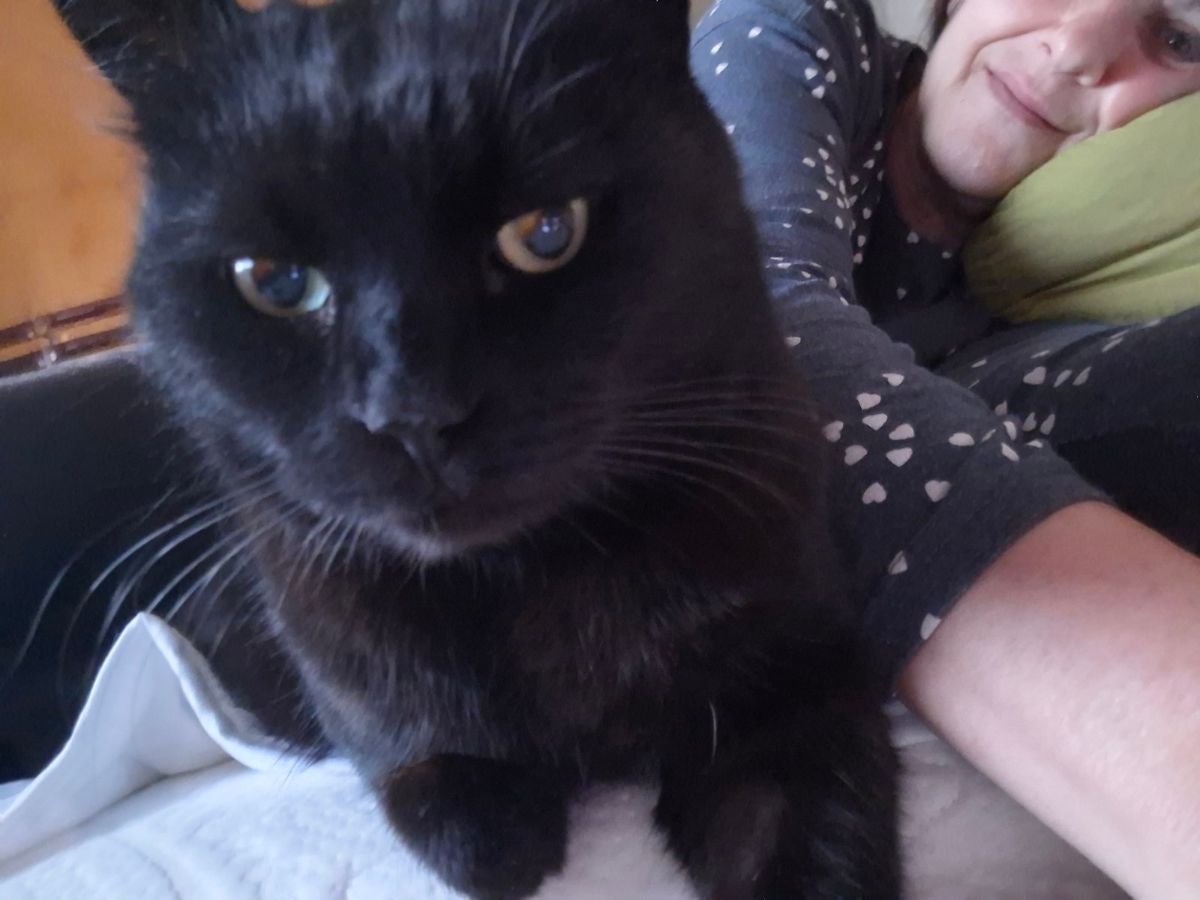 00000912 img 83f04be59dd235e8408f2d1023994455 v